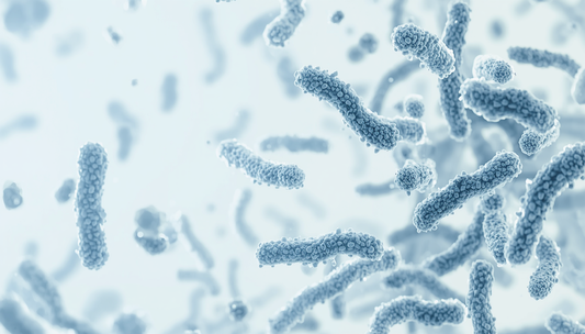 5 Bacteria That Could Be Destroying Your Gums