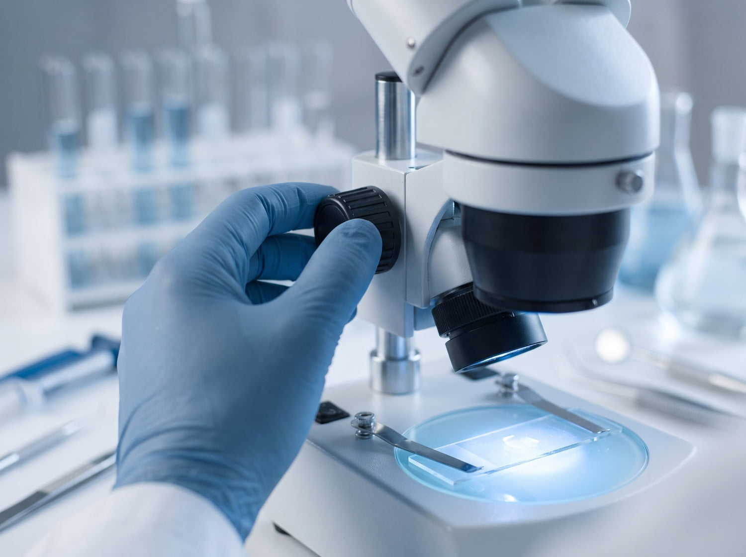 5 Bacteria That Could Be Destroying Your Gums